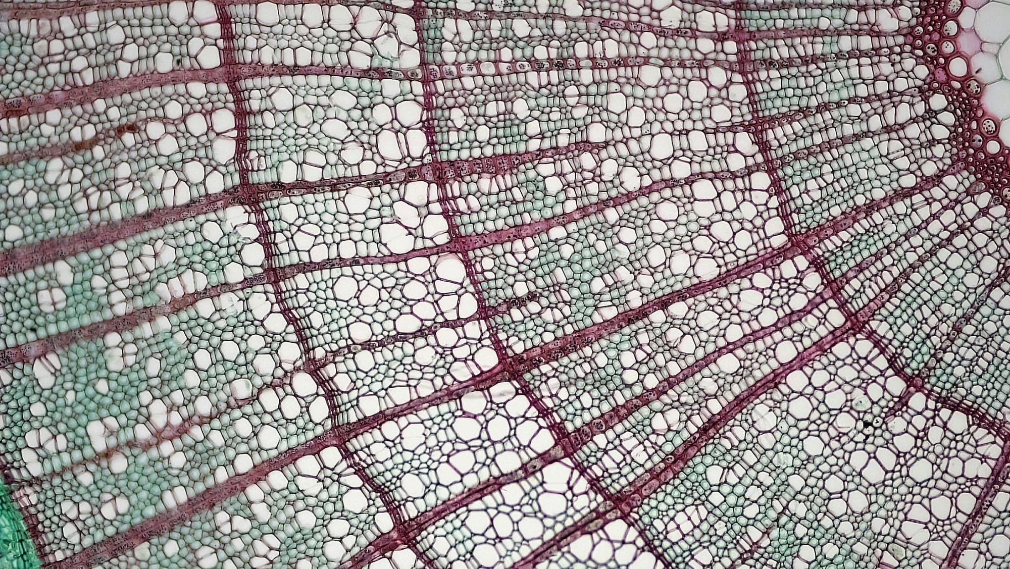 🧩 DDD et microservices : deux langages d’un même principe